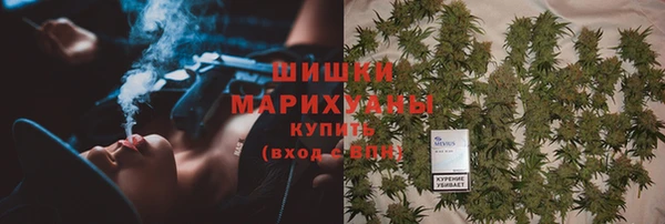 крисы Абдулино