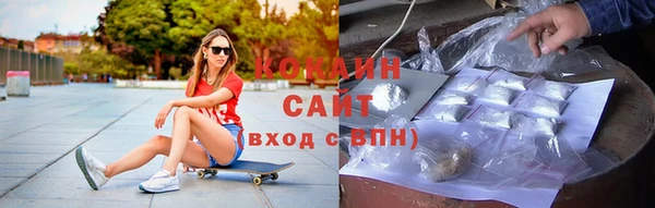 стаф Абаза