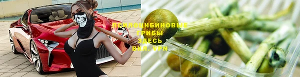 apvp Ладушкин