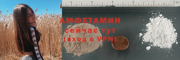 стаф Абаза