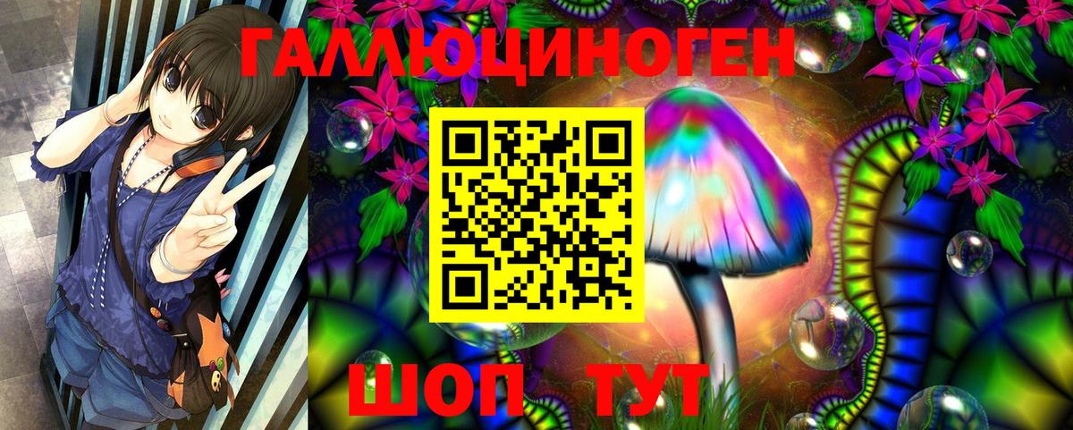 Таганрог  Псилоцибиновые грибы GOLDEN TEACHER  где купить наркоту  Вход с VPN 