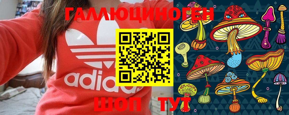 Псилоцибиновые грибы GOLDEN TEACHER Таганрог